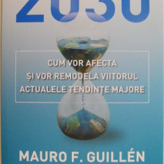 2030. Cum vor afecta si vor remodela viitorul actualele tendinte majore – Mauro F. Guillen