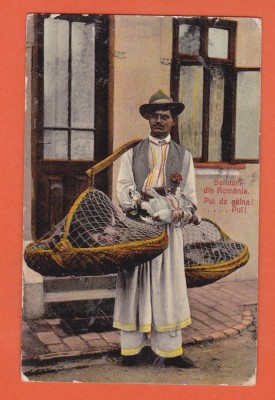AMS @ - ILUSTRATA SALUTARI DIN ROMANIA 1917, RECLAMA, PUI DE GAINA, vanzator de pui, CIRCULATA foto