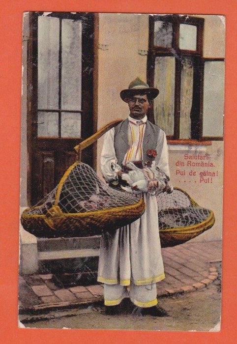 AMS @ - ILUSTRATA SALUTARI DIN ROMANIA 1917, RECLAMA, PUI DE GAINA, vanzator de pui, CIRCULATA