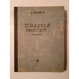 F. Aderca - Orașele &icirc;nnecate (roman) (Ed. Vremea, prima ediție)