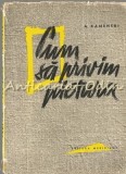 Cum Privim Pictura - A. Kamenski, Meridiane 1963, Album Pictura, Arta