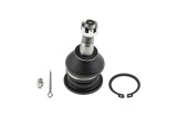 Rotula brat suspensie Lexus Is250, 350 Gse20 2005-, Fata Superior, NTY ZSG-TY-017