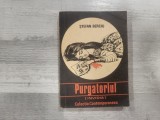 Purgatoriul de Stefan Berciu