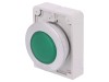 Lumină de control plată verde EATON ELECTRIC RMQ-Titan IP67 M30C-FL-G