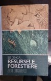 Ilie Dinca - Resursele Forestiere ale Europei (cu dedicatie pentru Petre Ghelmez)