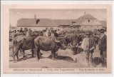 Carte postala circulata in anul 1916 Sibiu