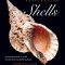 Fascinating Shells: An Introduction to 121 of the World&#039;s Most Wonderful Mollusks
