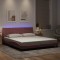 vidaXL Cadru de pat cu lumini LED, roz, 180x200 cm, catifea 3213798
