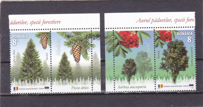 ROMANIA 2017 AURUL PADURILOR- Romania-Estonia- Serie 2 timbre cu vinieta LP2171b