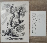 Pliant si invitatie expozitie Gheorghe Ivancenco 1976
