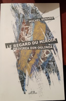 PRIVIREA DIN OGLINDA MICHEL BENARD foto
