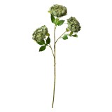 Cumpara ieftin Floare artificiala verde 12x8x80 cm
