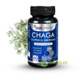 Chaga (Ciuperca Siberiana) 60cps