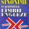 Sinonime in gramatica limbii engleze - 1997 - Leon Levitchi (O94)