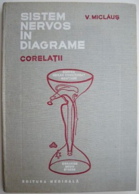 Sistem nervos in diafragme. Corelatii &amp;ndash; V. Miclaus foto