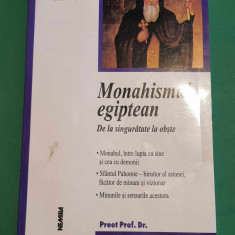 Monahismul Egiptean - Preot Prof. Dr. Vasile Raduca