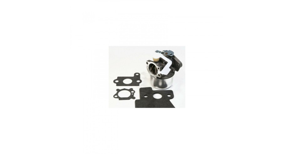 Carburatore Per Motori Briggs & Stratton 698055 690152 694203 121602 121607 121612 Con Guarnizioni Filtro Aria 697029 690610 E Filtro Carburante 97309658