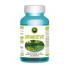 AntiAnxietate 60cps Hypericum, Hypericum Plant