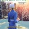 An Amish Second Christmas