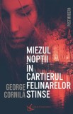 Miezul noptii in cartierul felinarelor stinse - Crux