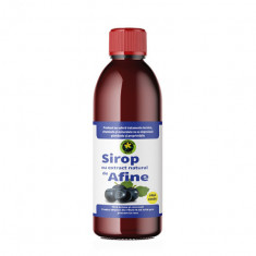 Sirop Afine Fara Zahar 500 mililitri Hypericum