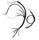 Instalatie electrica scuter electric City Coco