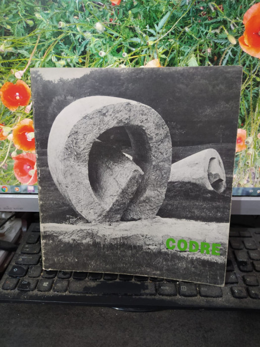 Florin Codre album sculptură Sculture 1971-1981 Milano iulie septembrie 1981 129