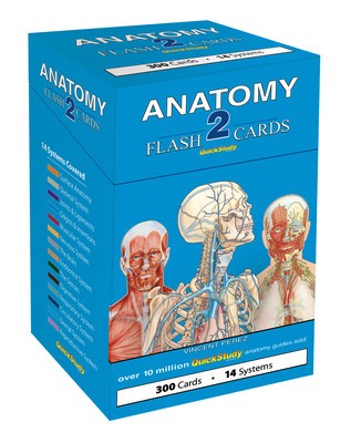 Anatomy 2 foto