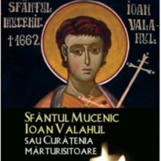 Sfântul Mucenic Ioan Valahul sau Curățenia mărturisitoare