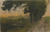 AMS# - ILUSTRATA CIRCULATA 1907, natura, Fotografie