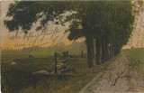 AMS# - ILUSTRATA CIRCULATA 1907, natura