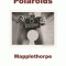 Robert Mapplethorpe: Polaroids