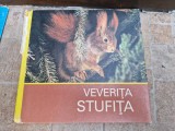 Veverita Stufita vintage