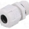 Presetupa poliamida, M20, IP68, BM GROUP - BM4920L