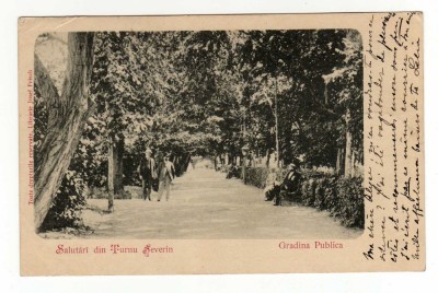 TURNU SEVERIN GRADINA PUBLICA LIB JOSEF FRISCH foto