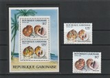Fauna ,cochilii ,Gabon., Nestampilat
