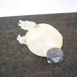 Vas Expansiune Peugeot 208 (2017) OEM 9800777280. Rezervor Lichid Racire, Calitate Originala