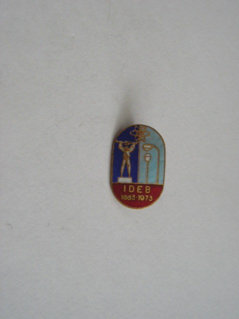 QW9 J 16 - Insigna - tematica tehnica - inscriptia IDEB 1973