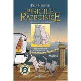 Aventurile lui Dunga Cenusie - Intoarcerea Razboinicului, Grupul All