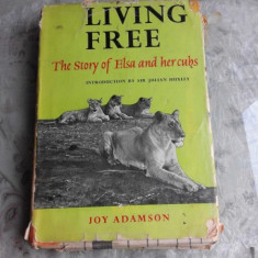 LIVING FREE, THE STORY OF ELSA AND HERCUBS - JOY ADAMSON (CARTE IN LIMBA ENGLEZA)