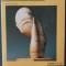 ERIC SHANES: CONSTANTIN BRANCUSI (ABBEVILLE NEW YORK 1989 / LIMBA ENGLEZA) [DEDICATIE / AUTOGRAF ERIC SHANES]
