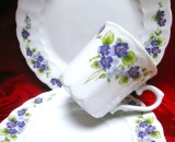 SET MIC DEJUN PORTELAN ESCHENBACH BAVARIA DECOR CU VIORELE SI FLORI DE NU MA UITA CEASCA CAFEA CU FARFURII