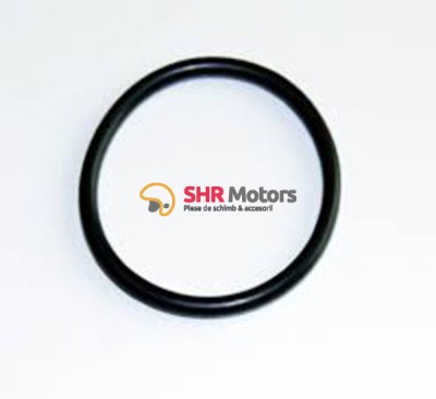 06.2 O-RING 56.51.9 - CF Moto 500/500A MC (pana in 2011) foto