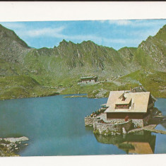 CA11 -Carte Postala- Cabana Balea-Lac, necirculata 1979