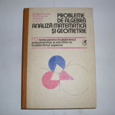 Probleme De Algebra Analiza Matematica Si Geometrie - M.becheanu Gh.grigore S.ianus I.ichim ,552272