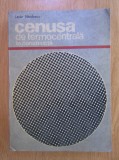 Lazar Nicolescu - Cenusa de termocentrala in constructii