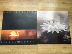 VAN MORRISON - AVALON SUNSET (1989,POLYDOR,UK) vinil vinyl foto