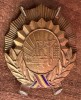 QW15 16 - securitate - comunism RPR - Ordinul In serviciul patriei socialiste - clasa III