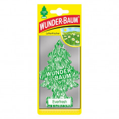 Odorizant Auto Wunder-Baum Everfresh