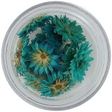 Cumpara ieftin Flori uscate - turcoaz, INGINAILS